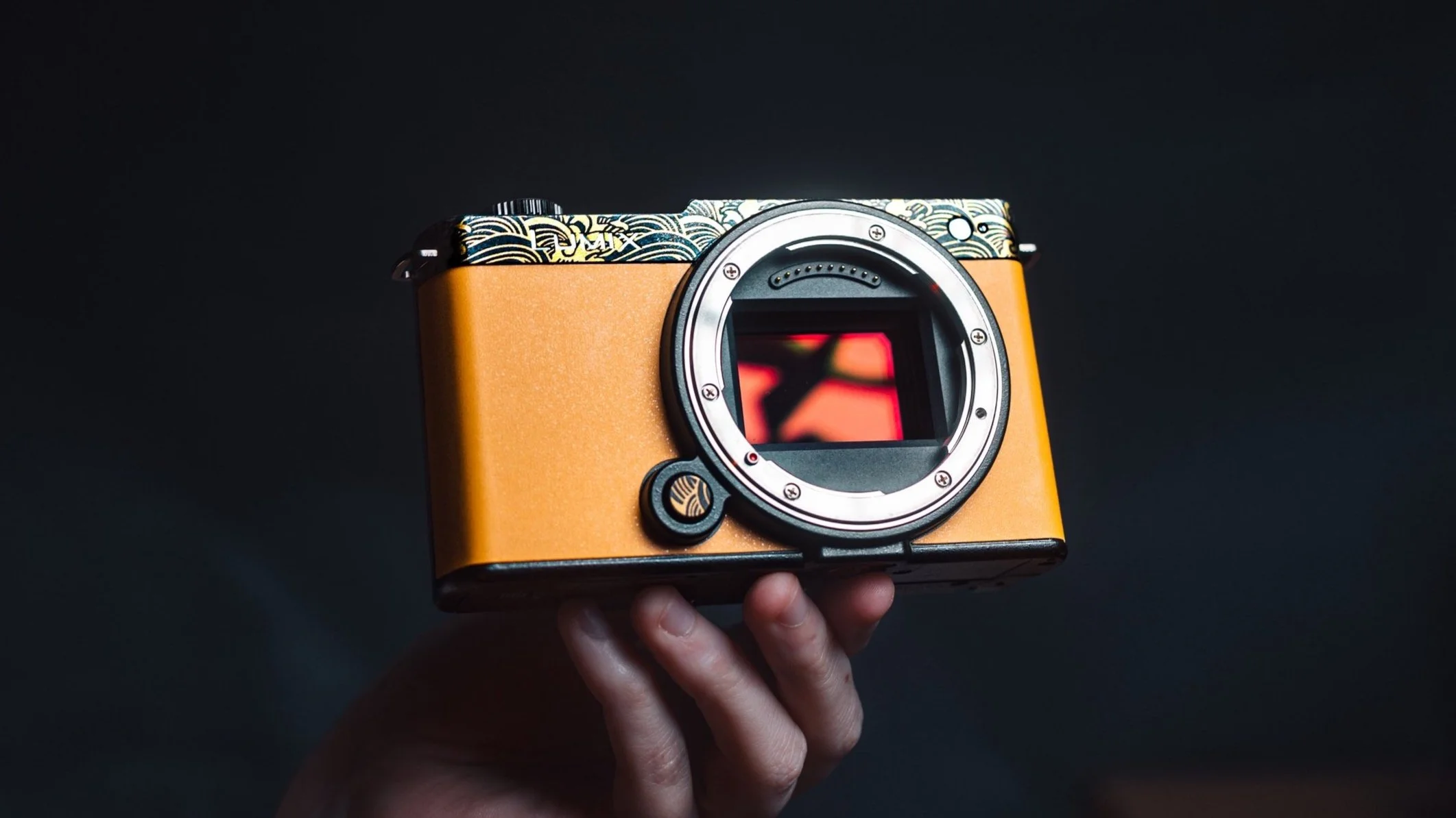 Lumix S9 Long-Term Review (as a content creator) — Micro Four Nerds